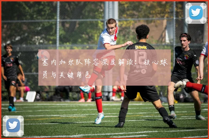 塞内加尔队阵容深度解读:核心球员与关键角色