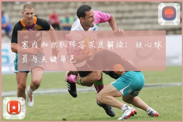 塞内加尔队阵容深度解读:核心球员与关键角色